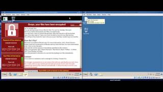 Demonstration of WannaCry Ransomware Infection nontech [upl. by Wolbrom601]