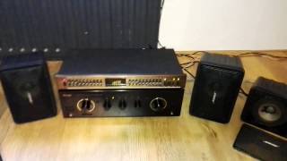 Bose 101MM Stage and 101 MusicMonitor [upl. by Emile]