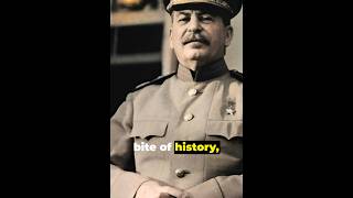 Who is Stalin meyzileyoutubeshorts [upl. by Attenyt]