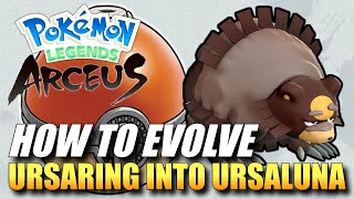 Pokemon Legends Arceus  How To Evolve Ursaring Into Ursaluna  How To Get Ursaluna [upl. by Vorster]