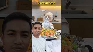 Cooking popcorn by catThatLittlePuff cat puffcorn pets cute food craftypuff thatlittlepuff [upl. by Atiuqad]