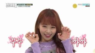 아이즈원 김채원 애교송 IZONE Kim Chaewon aegyo song [upl. by Noirrad483]