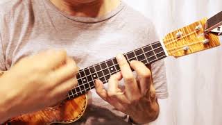 Michelle  The Beatles Cover on ukulele [upl. by Ugo]