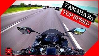 Yamaha R3  Top Speed Run  2015 R3 [upl. by Nylyaj]