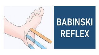 Babinski Reflex Plantar Reflex [upl. by Chiarra]