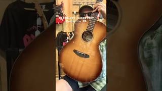 Breedlove Discovery Concerto SB AE Acoustic Guitar texas guitar hillcountry acoustic [upl. by Aisanahta]