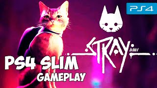 Stray PS4 Slim Gameplay [upl. by Zonda267]