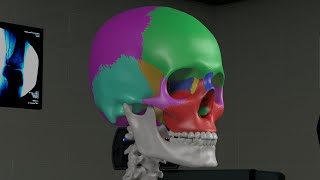 Chapter 1 Basic Sinus Anatomy [upl. by Biggs]