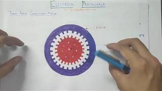 IM 19 Cogging or magnetic locking in three phase Induction motor in Hindi  Electrical Paathshala [upl. by Agon]