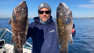 LIGHTS OUT Tautog Blackfish Fishing  Entire Fish Catch Clean Cook [upl. by Anelrad]