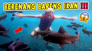 PRANK NANTANGIN PAPI BERENANG SAMA IKAN BERANI GAK YA [upl. by Rillis514]