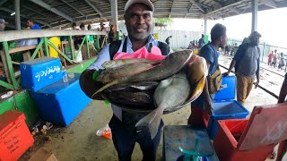 Fresh catch fish Solomons seafood 🇸🇧 [upl. by Stark308]