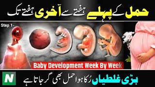 Pregnency Week By Week in Urdu 🌟 Baby Development Week By Week 👶🏻  Nagina TV [upl. by Nafis]