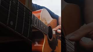 Tribalistas  Velha Infância Fingerstyle Cover violão fingerstyle velhainfância guitarcover [upl. by Roxanna]