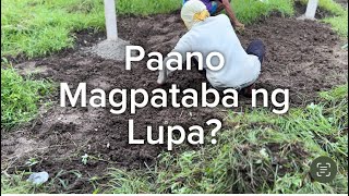 Paano Magpataba ng Lupa [upl. by Aspia394]