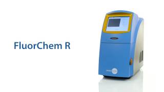 ProteinSimple FluorChem Western Blot Imaging Systems [upl. by Flodur]