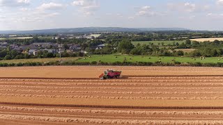 Connollys RED MILLS Harvest 2021 [upl. by Notnarb521]