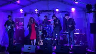 Whiskey Nip band playing at the Bridgetown blues festival video 2 [upl. by Grange721]