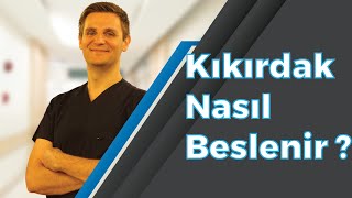 Kıkırdak vücudumuzda nasıl beslenir  ProfDr Alper GÖKÇE [upl. by Koeninger]