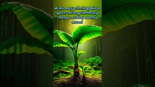 Thee venalil pollathe song lyrics Vazha film  Atimanoharam song Malyalam lyrics video [upl. by Katharina]