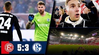 DÜSSELDORF vs SCHALKE 53 Stadion Vlog 🔥 Das ist erbärmlich [upl. by Zucker]