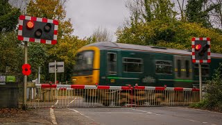 Betchworth Level Crossing Surrey 291024 [upl. by Rusty]