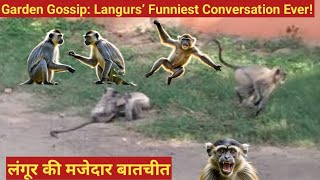 Garden Gossip Langurs’ Funniest Conversation Ever [upl. by Susan]