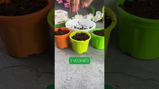 😱 Try this viral DIY Kit now amp grow vegetables at home in less than 3 weeks plants gardening diy [upl. by Ecyob651]