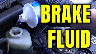 Brake Fluids Explained Types Compatibility amp Lifespan [upl. by Edwine]