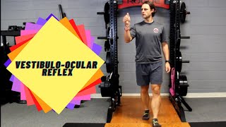 Vestibulo ocular reflex training VOR [upl. by Nhguavad]