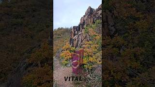 Die höchste Steilwand nördlich der Alpen  Der herbstliche Rotenfels 4K [upl. by Etteuqal935]