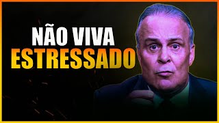 Dr Lair Ribeiro  Aprenda a CONTROLAR o ESTRESSE no dia a dia [upl. by Eckhardt650]