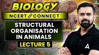 Structural Organisation in Animals Class 11 NEET 2025  Biology NCERT CONNECT Series  Vishal Sir [upl. by Yarvis]