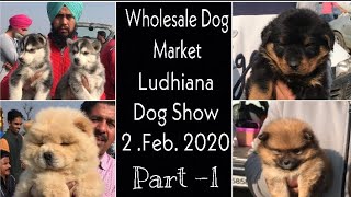 Wholesale Dog Market Ludhiana Dog Show 2nd Feb 2020 Part 1 [upl. by Ahsiak]