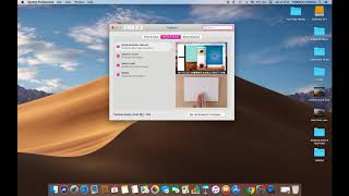 HOW TO DISABLE OR ENABLE ZOOM IN OR OUT TRACKPAD IN MAC OS MOJAVE [upl. by Oloapnaig]