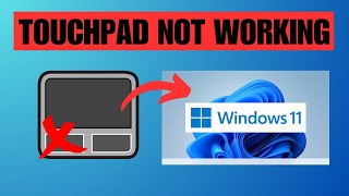 How To Fix Trackpad Not Working On Windows 11 Laptop [upl. by Smeaj]