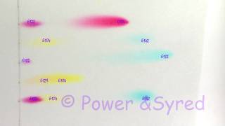 Food colouring chromatogram [upl. by Navinod]