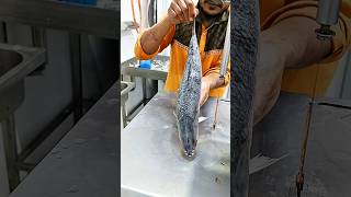 Big river Hilsha fish cutting skills sea giant fish cutting skills fish market shorts youtubeshort [upl. by Eillak]