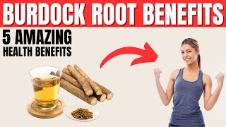 Burdock Root Benefits  5 Amazing Health Benefits of Burdock Root [upl. by Eseerehs]