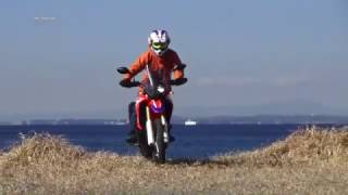 Honda CRF250 RALLY Test Riding WEB Mr Bike [upl. by Porcia]