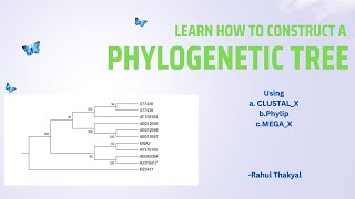 Construction of a Phylogenetic Tree  BSc Zoology  Evolutionary Biology [upl. by Supmart]