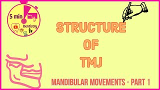 TMJ in 2 minutes  Structure of TMJ  anatomy  Mandibular movements [upl. by Ahserkal439]