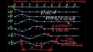 Mechanizm rozchodzenia sie fali mechanicznej [upl. by Akilat965]