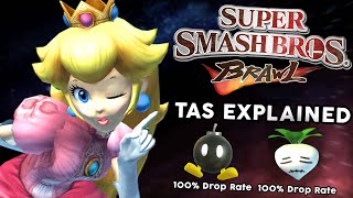 The Super Smash Bros Brawl TAS Is Incredible  Subspace Emissary 100 Explained [upl. by Nerok]