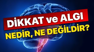 SÖZLERİN ÖTESİNDE quotDikkat ve Algıquot TRT Belgesel [upl. by Conyers]