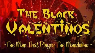 The Man Who Plays The Mandolino Dean Martin CoverLive  The Black Valentinos [upl. by Htehpaj]