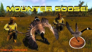 Finding WALL HANGERS 23 Canada Goose THEHUNTER 2017 [upl. by Tnattirb]