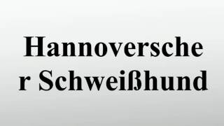 Hannoverscher Schweißhund [upl. by Cartwell]