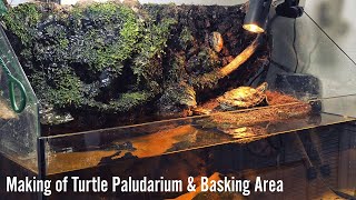 Making of Turtle Paludarium amp Basking Area [upl. by Lokin472]