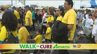 Walk To Cure Arthritis Coming To LA Area [upl. by Nidla856]